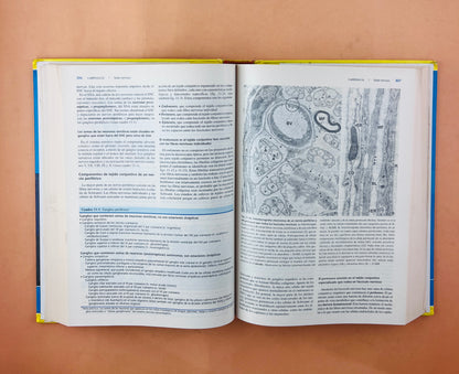 Histología 4a edición Texto y atlas color con biología celular y molecular