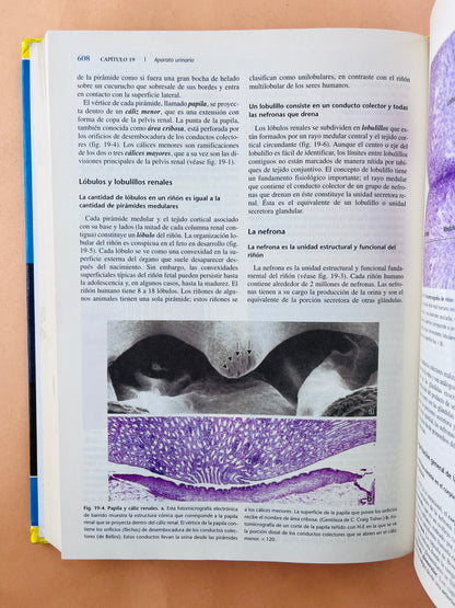 Histología 4a edición Texto y atlas color con biología celular y molecular