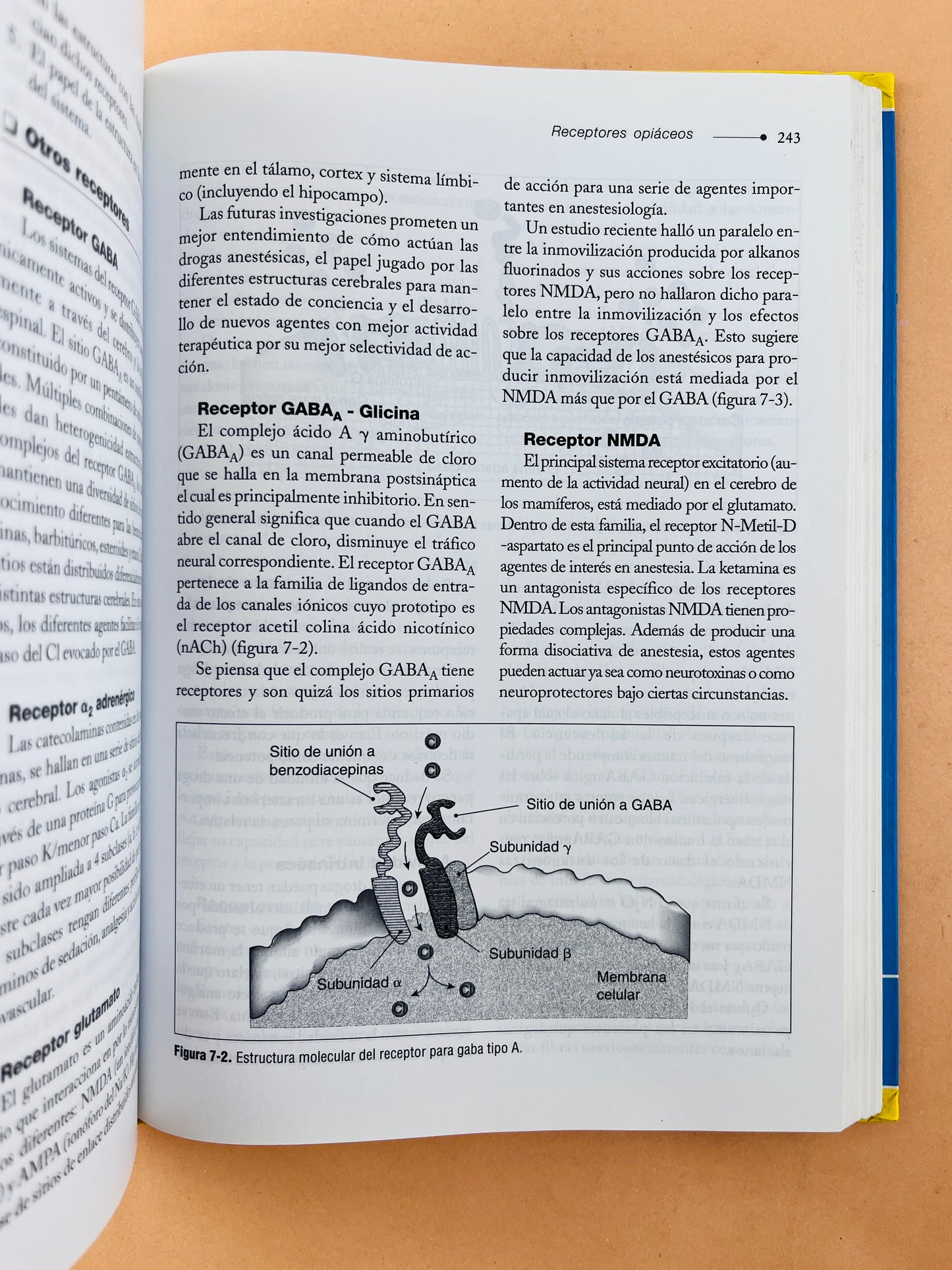 Anestesia intravenosa