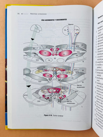 Anestesia intravenosa