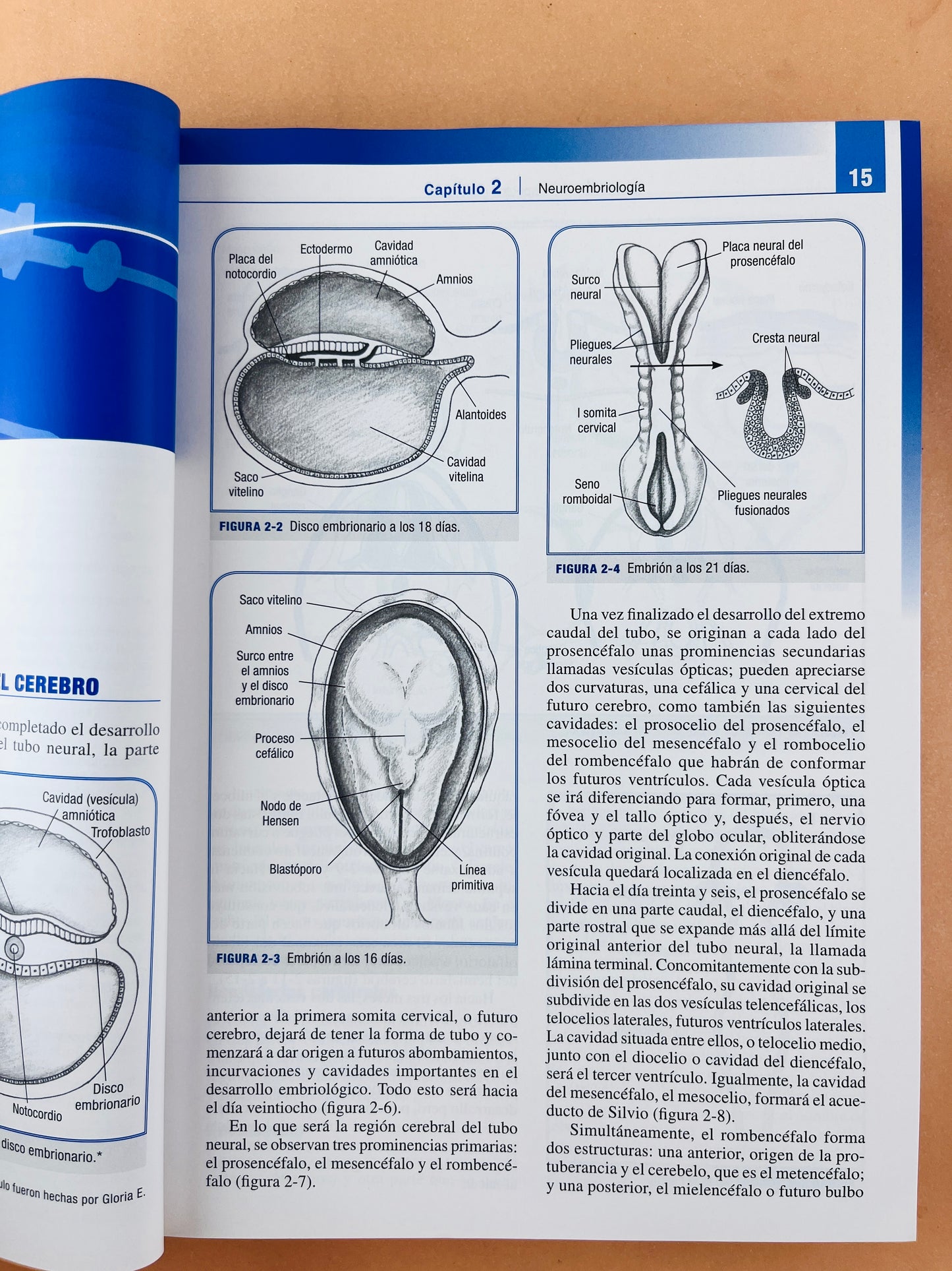 Anestesia intravenosa tercera edición