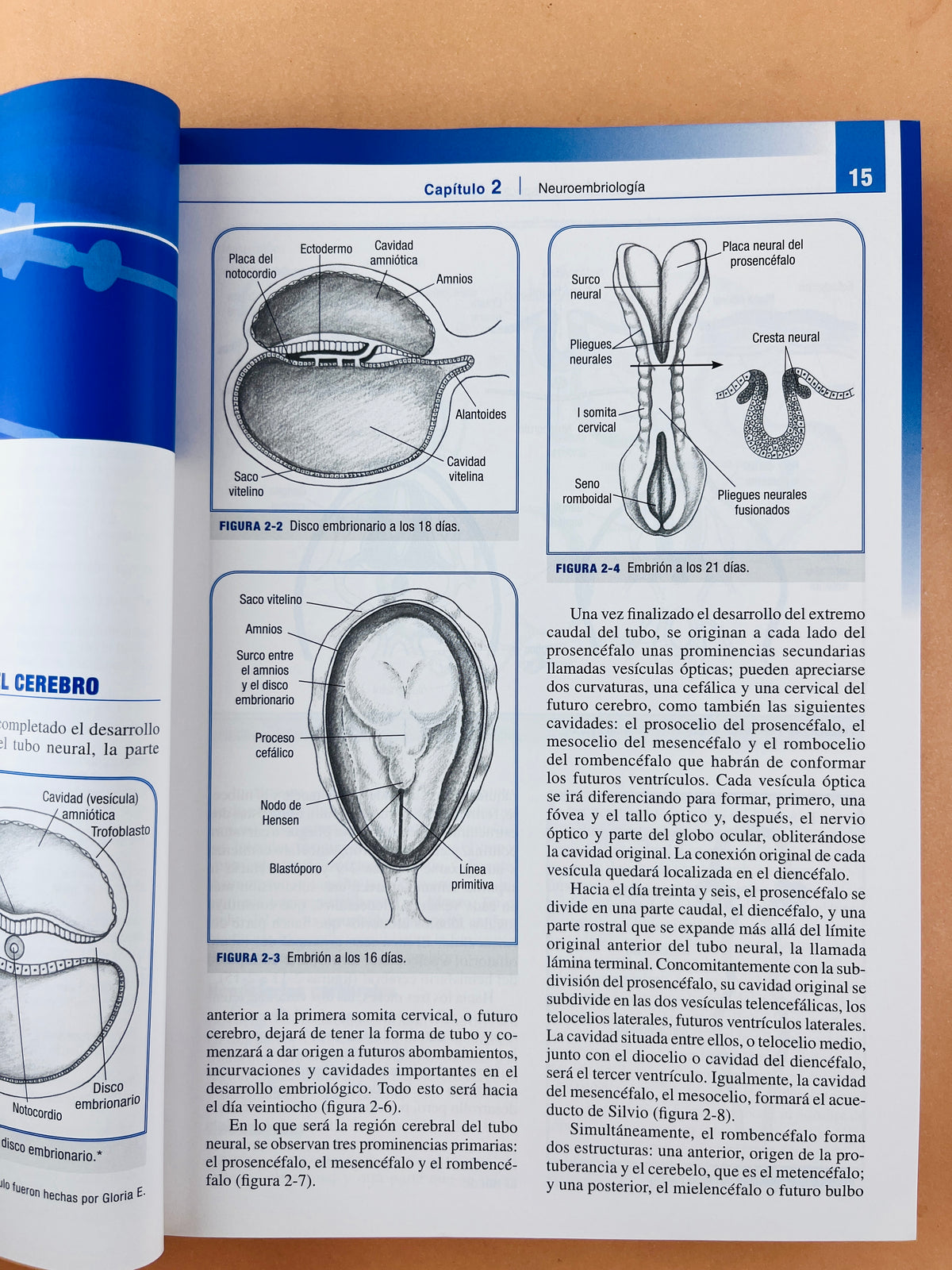 Anestesia intravenosa tercera edición by A.Vanegas Saavedra
