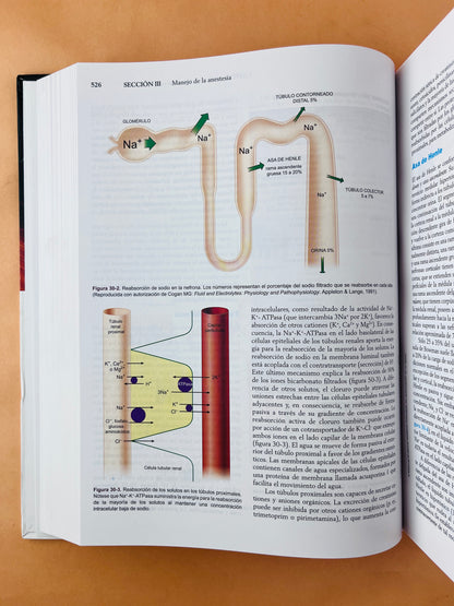 Anestesiología de Morgan y Mikhail sexta edición