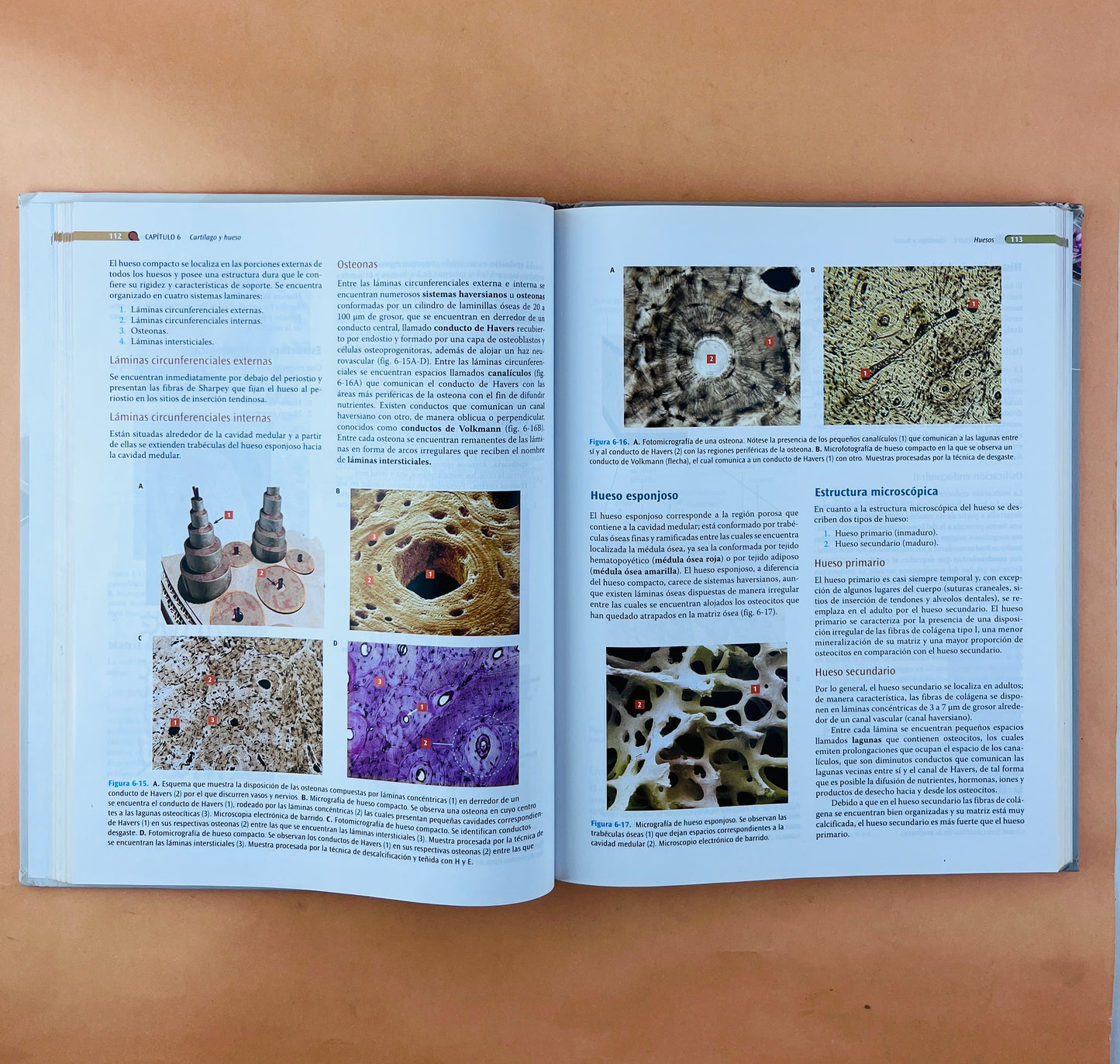 Texto atlas de Histología Biología Celular y Tisular segunda edición