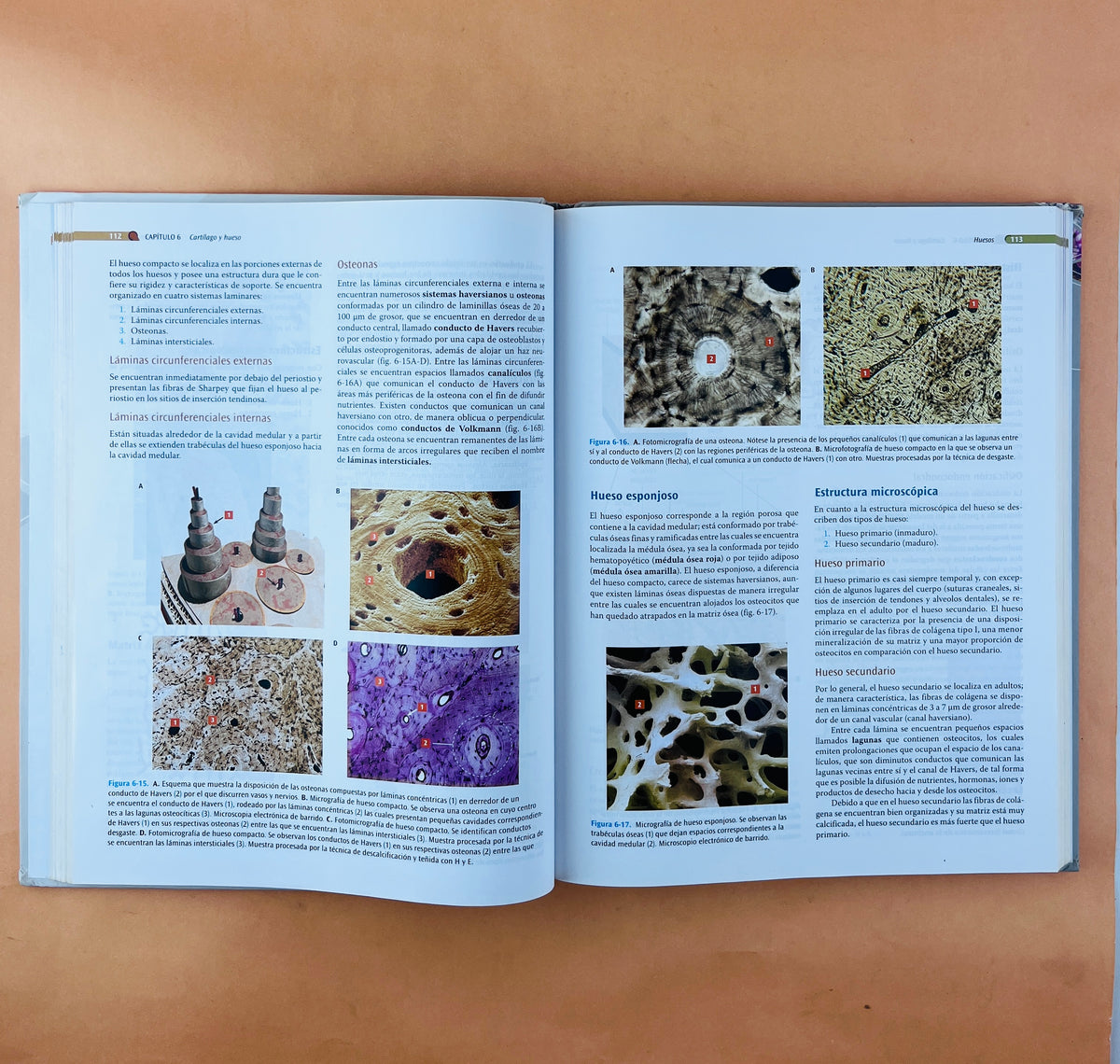 Texto atlas de Histología Biología Celular y Tisular segunda edición by Julio Sepúlveda Saavedra