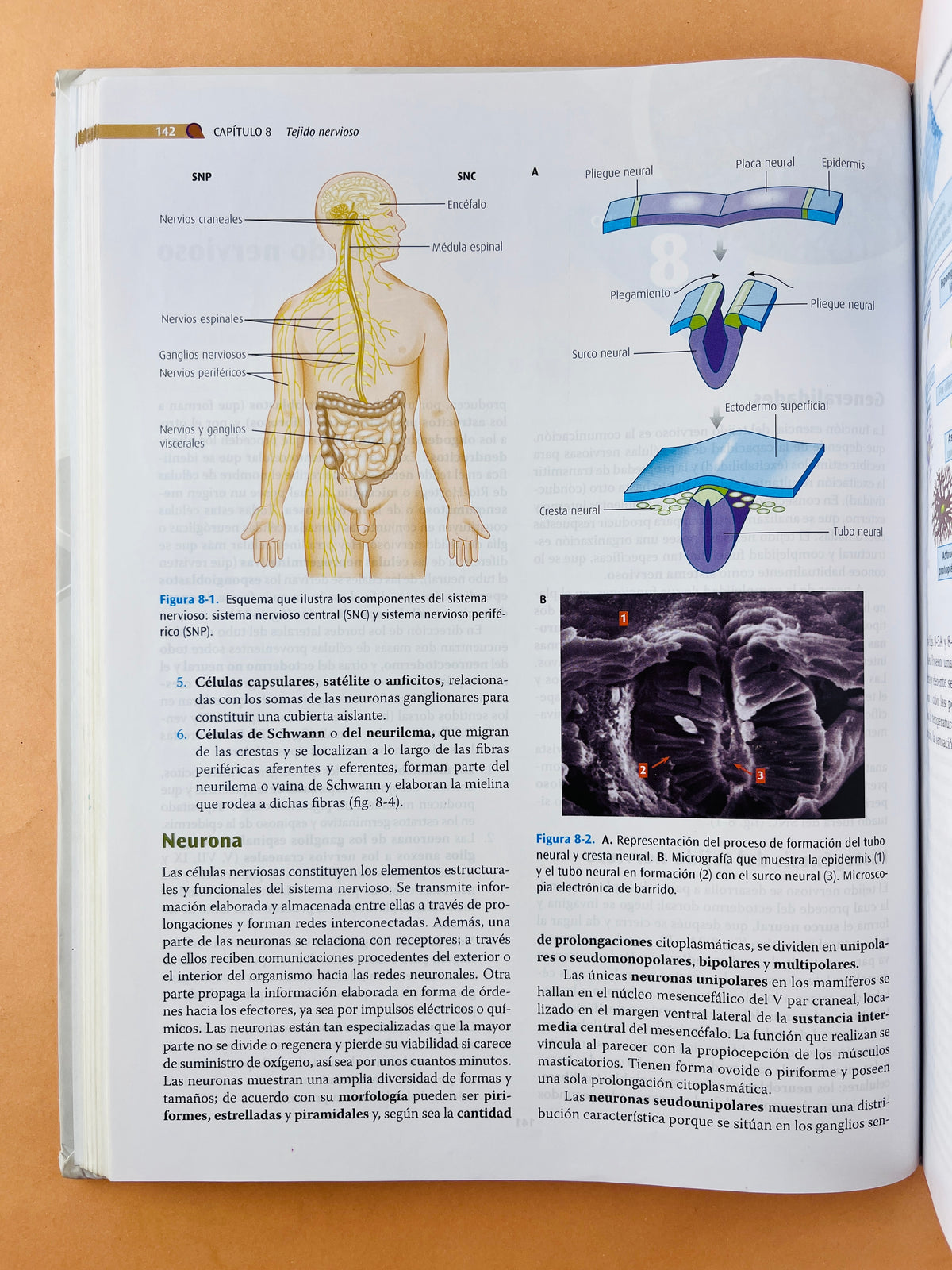 Texto atlas de Histología Biología Celular y Tisular segunda edición by Julio Sepúlveda Saavedra