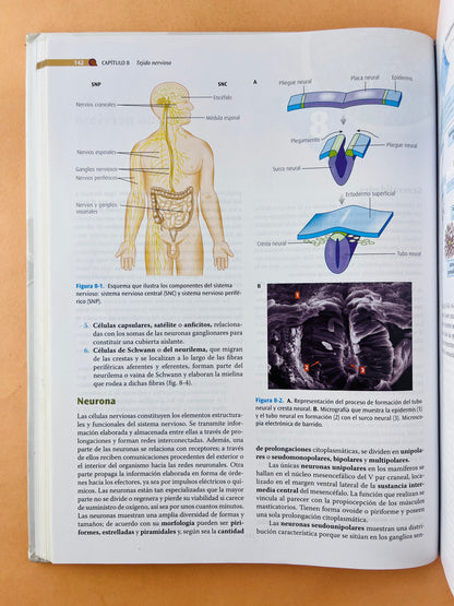 Texto atlas de Histología Biología Celular y Tisular segunda edición