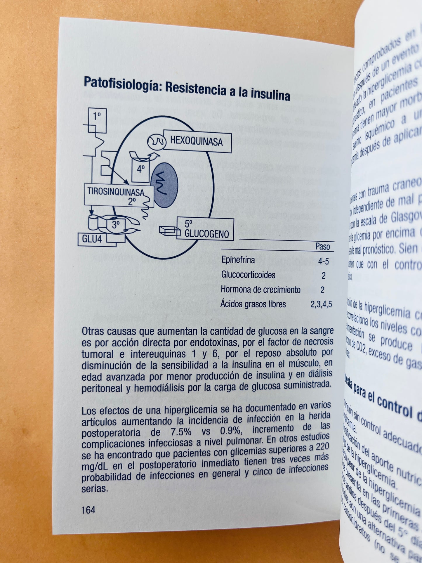 Terapia nutricional y metabólica del paciente hospitalizado