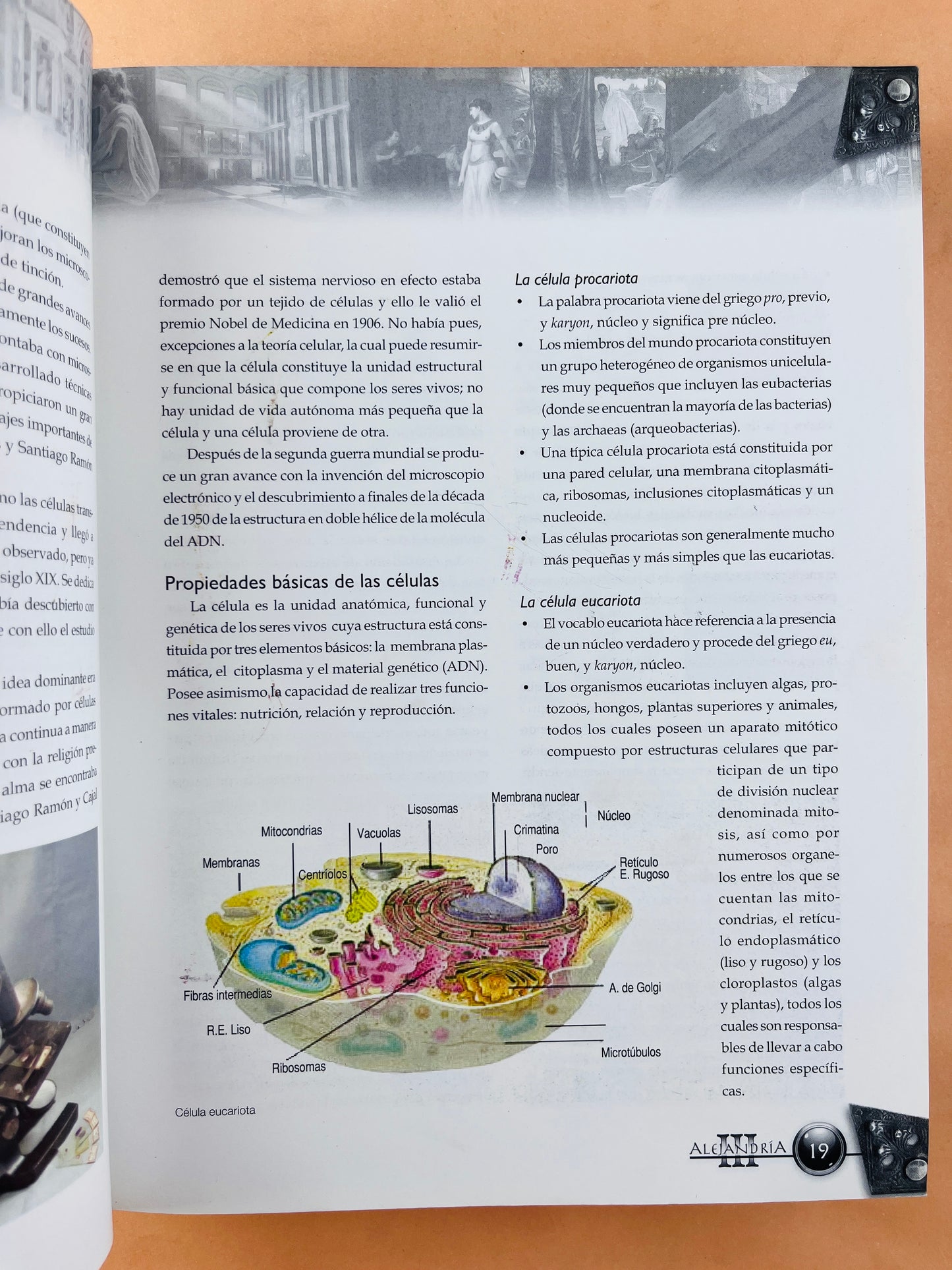 Alejandría III tomo 1 programa especial de preparación para ingreso a la residencia