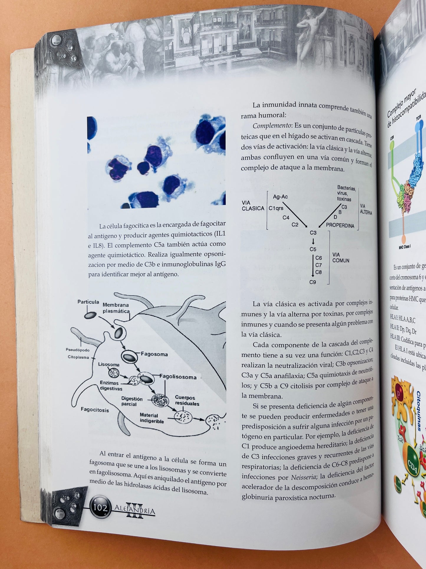 Alejandría III tomo 1 programa especial de preparación para ingreso a la residencia