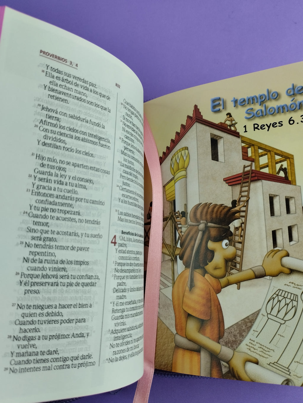 Biblia amigos por siempre rosado con estuche by Reina Valera 1960