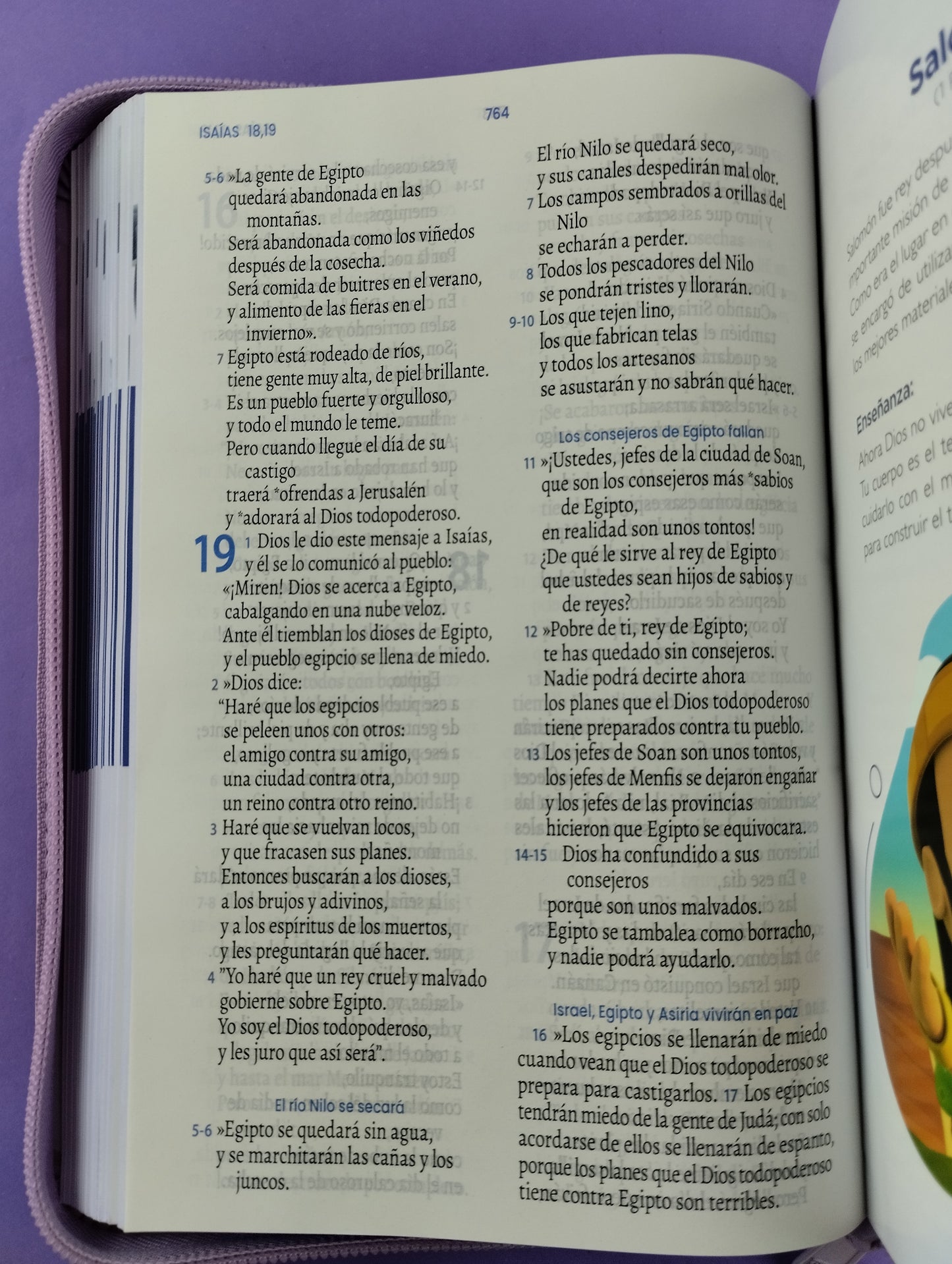 Biblia se un héroe TLA lila - rosada letra grande / canto lila