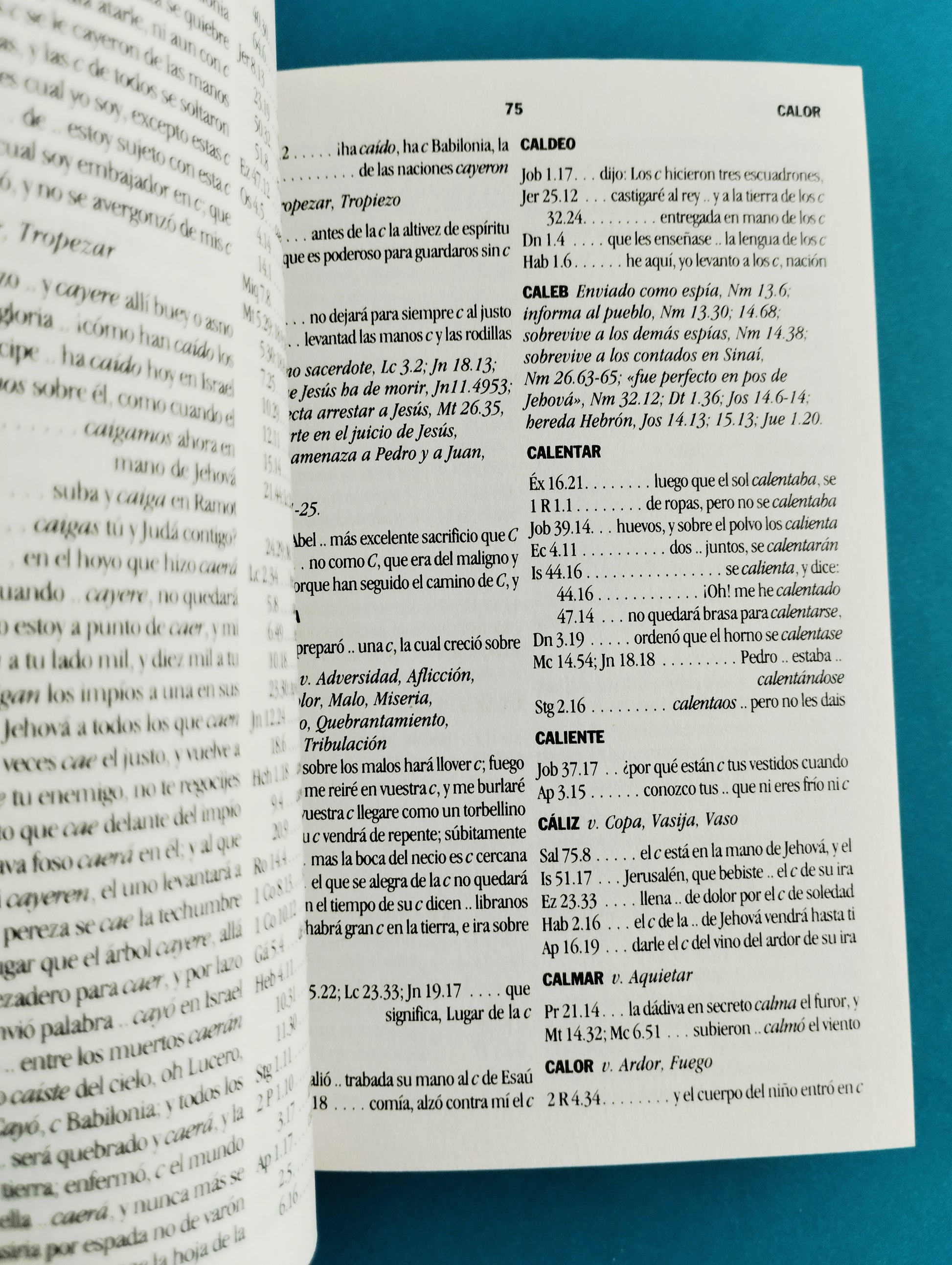 Concordancia de la biblia de bolsillo by Referencias de bolsillo caribe