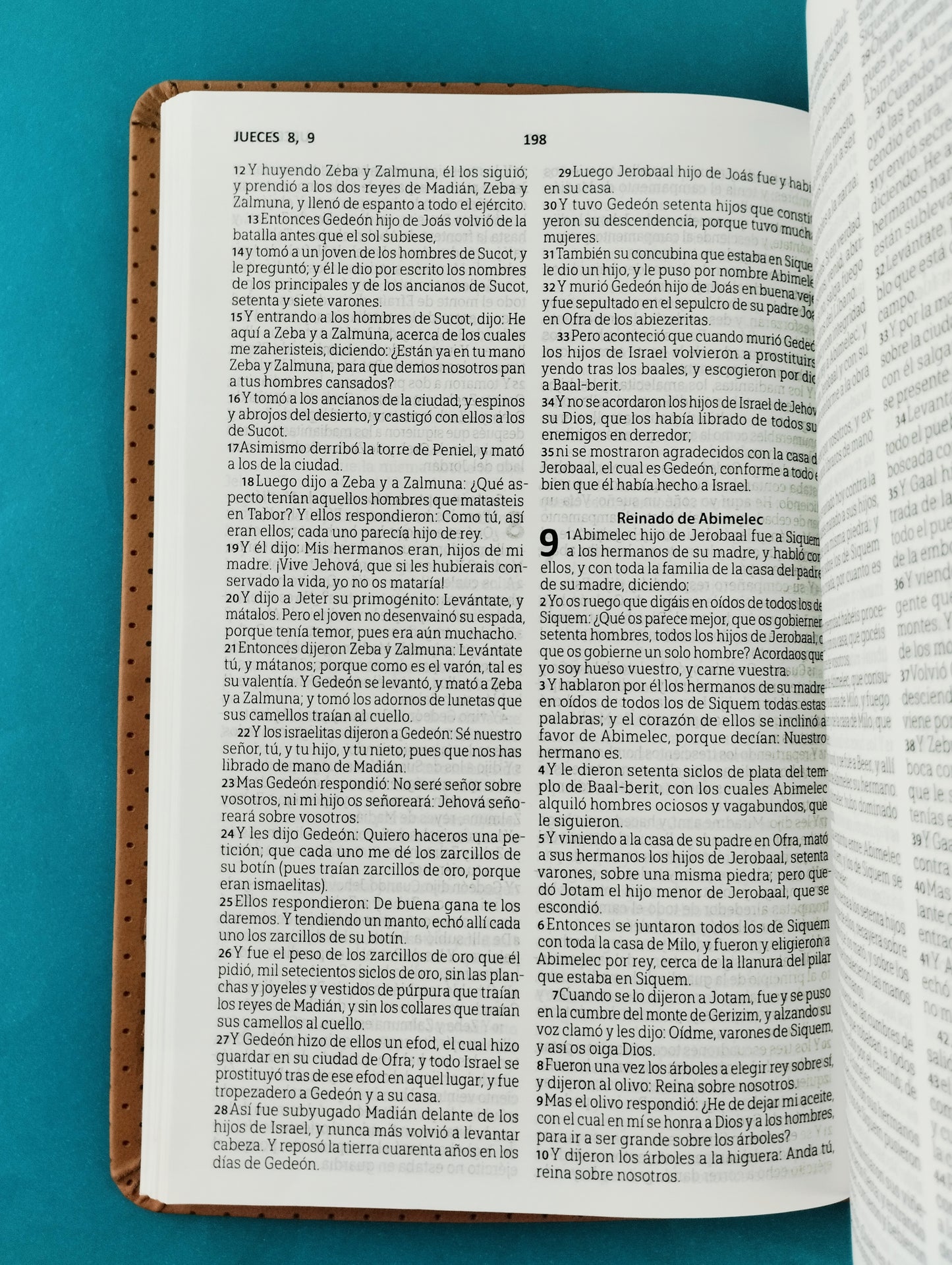 Biblia rvr 1960 tipo agenda caramelo by Reina Valera 1960