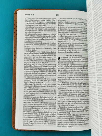 Biblia rvr 1960 tipo agenda caramelo by Reina Valera 1960