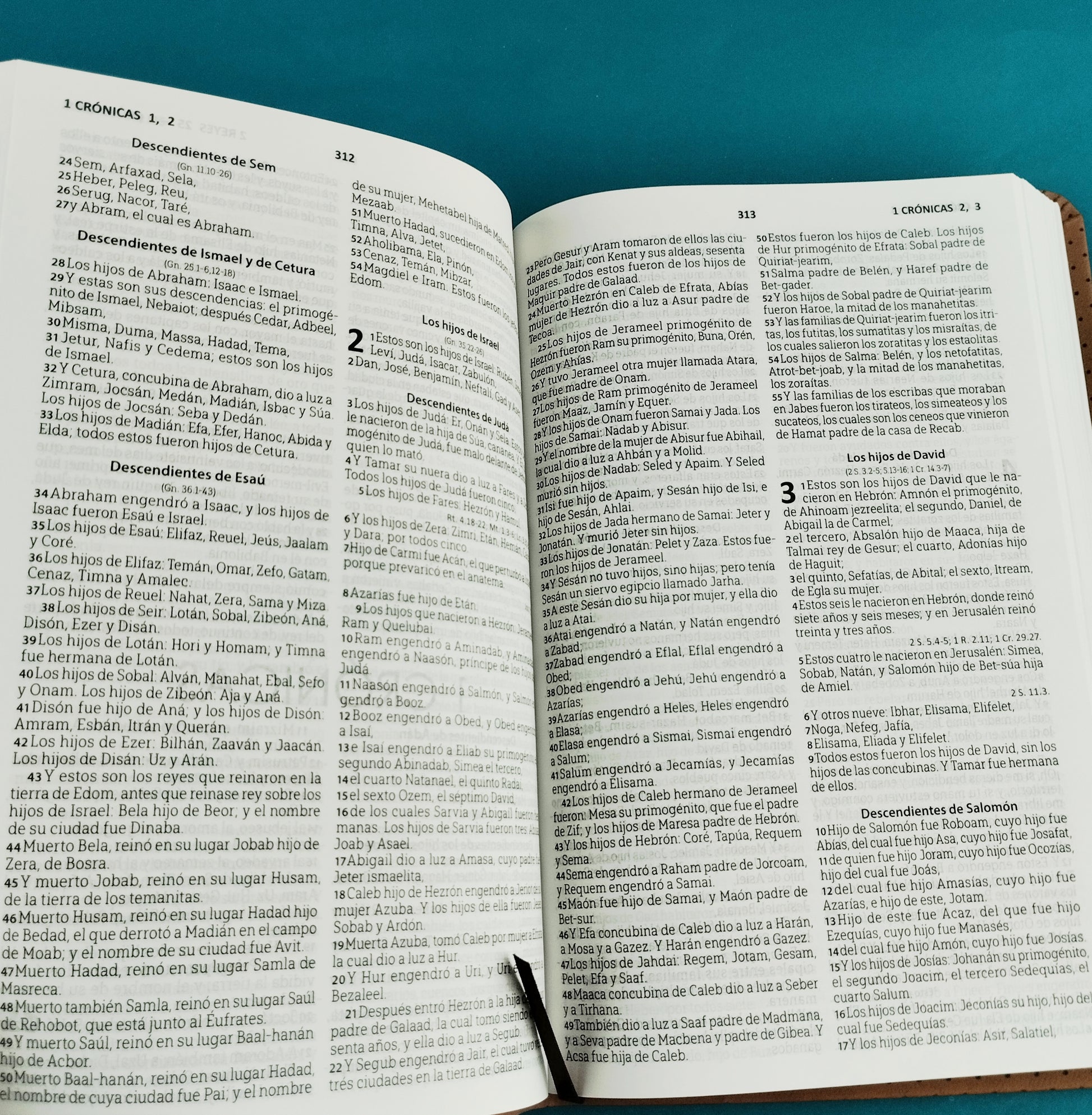 Biblia rvr 1960 tipo agenda caramelo by Reina Valera 1960