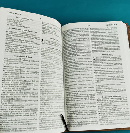 Biblia rvr 1960 tipo agenda caramelo by Reina Valera 1960