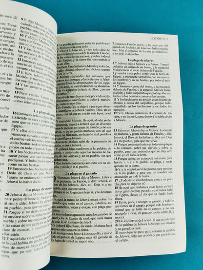 Biblia rvr promesas Jesús para todos