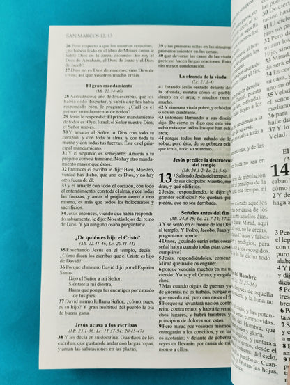 Biblia rvr promesas Jesús para todos