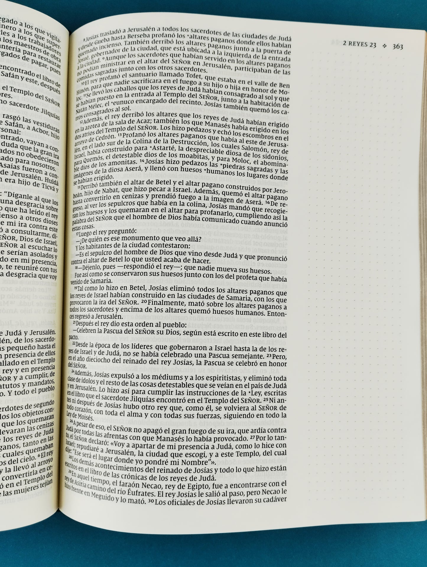 Santa biblia edición artística nvi