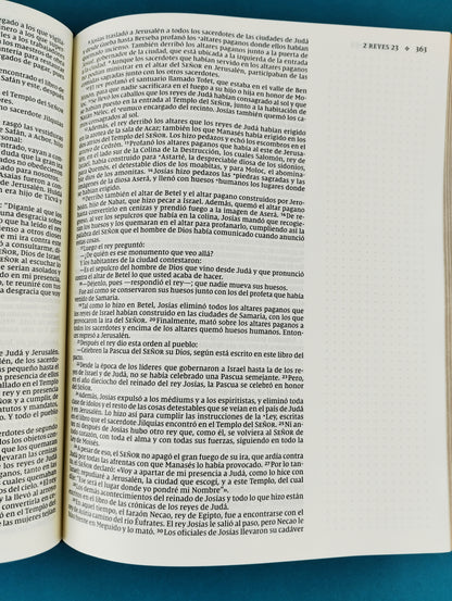 Santa biblia edición artística nvi