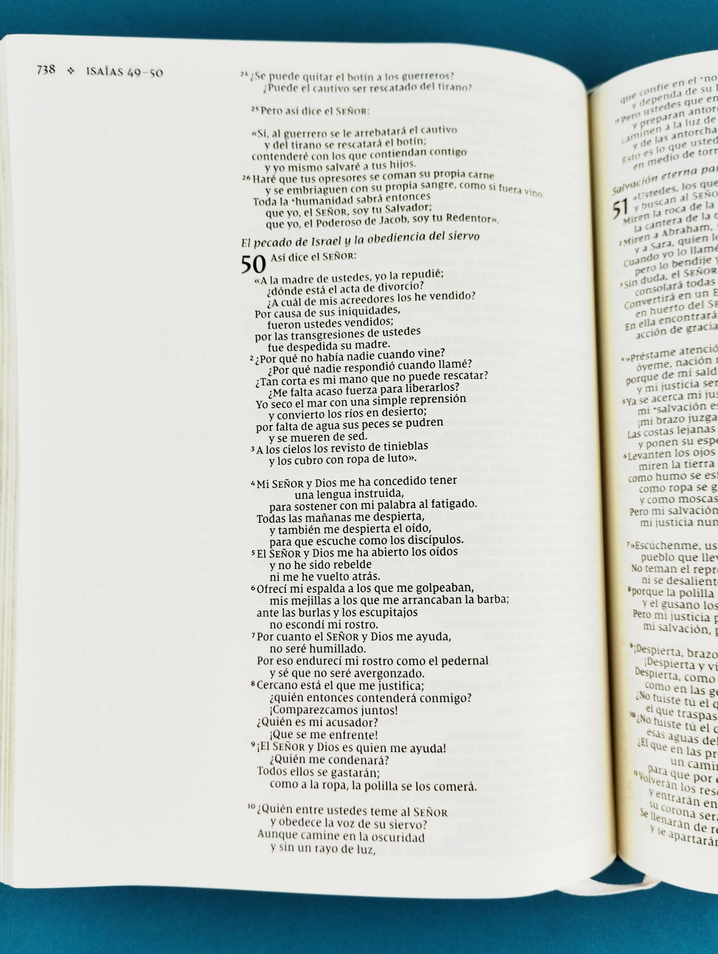 Santa biblia edición artística nvi