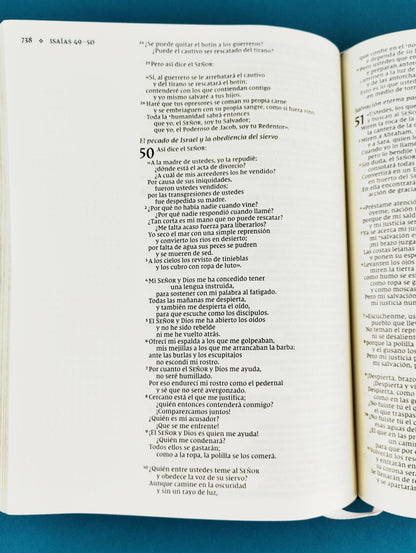 Santa biblia edición artística nvi