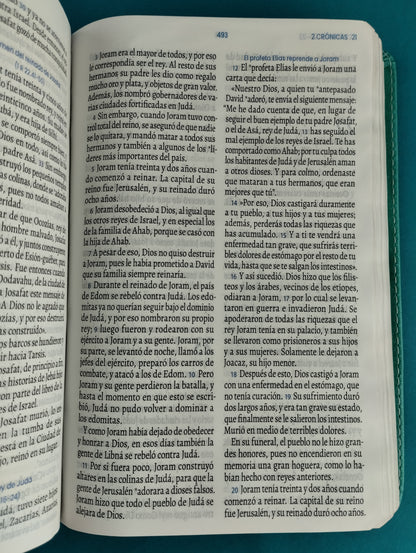 Biblia traducción en lenguaje actual 066 estrellas - verde agua marina / canto plateado by Lenguaje actual