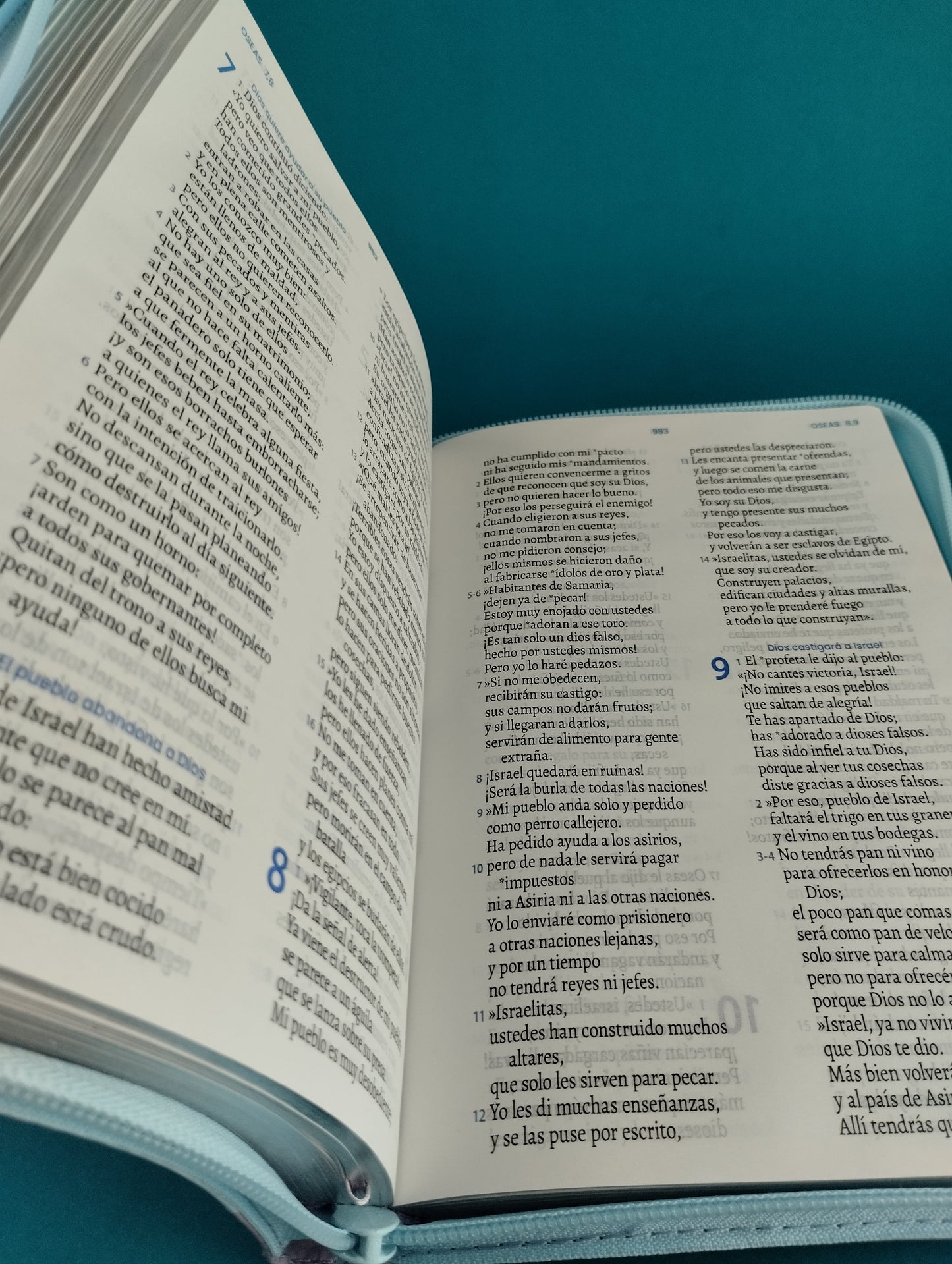 Biblia traducción en lenguaje actual 066 azul - morado / canto plateado by Lenguaje actual