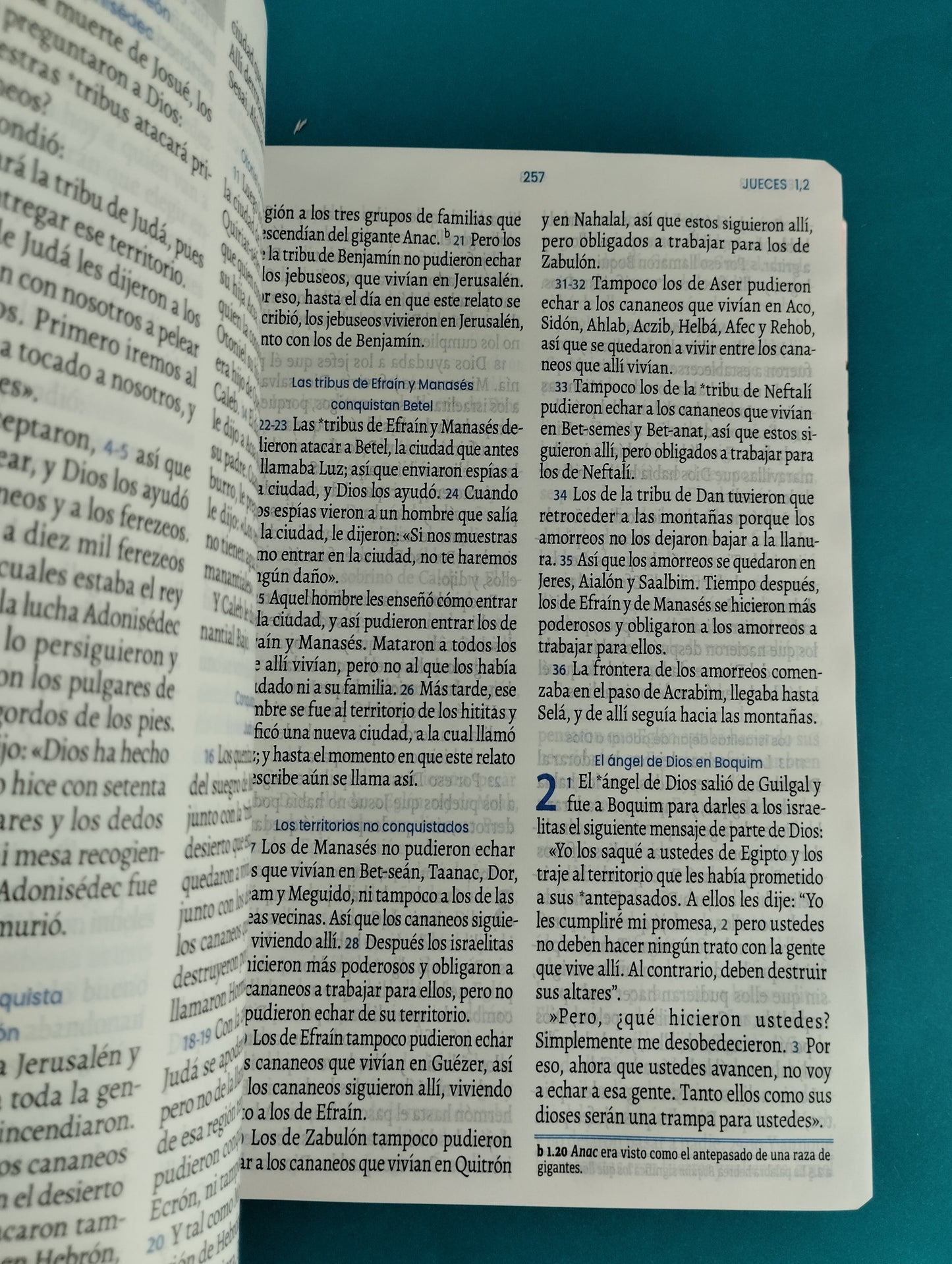 Biblia traducción en lenguaje actual 066 rosado - rojo / canto plateado by Lenguaje actual