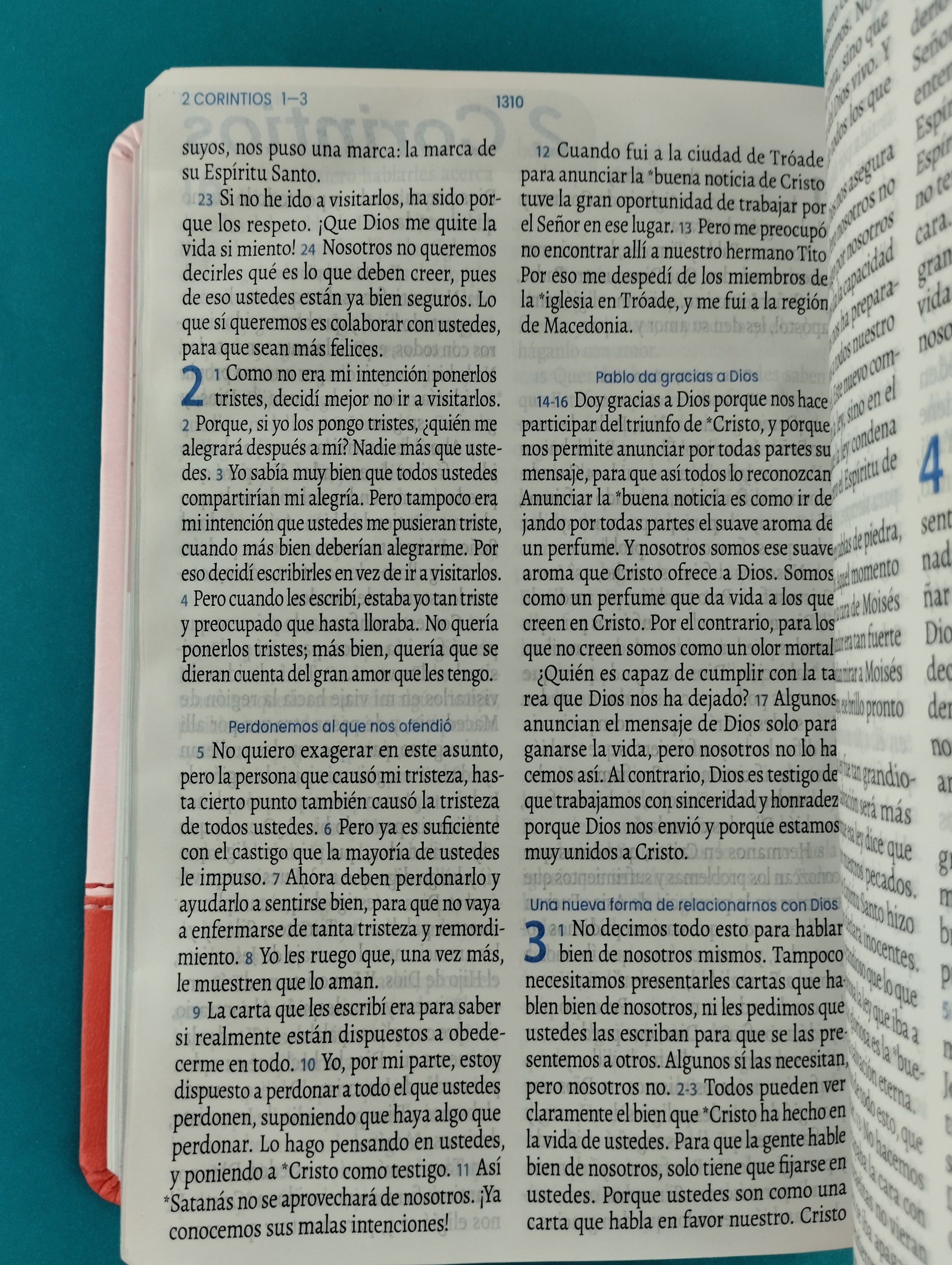 Biblia traducción en lenguaje actual 066 rosado - rojo / canto plateado by Lenguaje actual