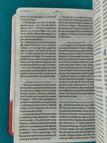 Biblia traducción en lenguaje actual 066 rosado - rojo / canto plateado by Lenguaje actual
