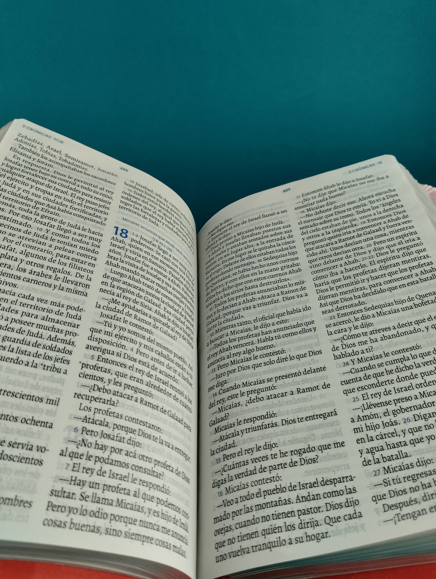 Biblia traducción en lenguaje actual 066 rosado - rojo / canto plateado by Lenguaje actual