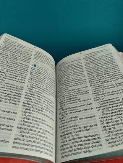 Biblia traducción en lenguaje actual 066 rosado - rojo / canto plateado by Lenguaje actual