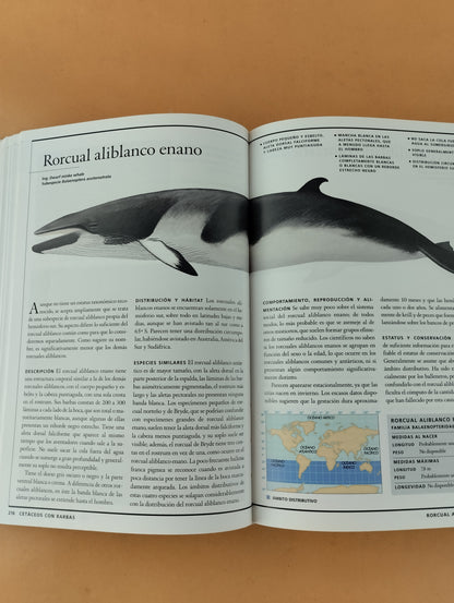 Guía de los mamíferos marinos del mundo