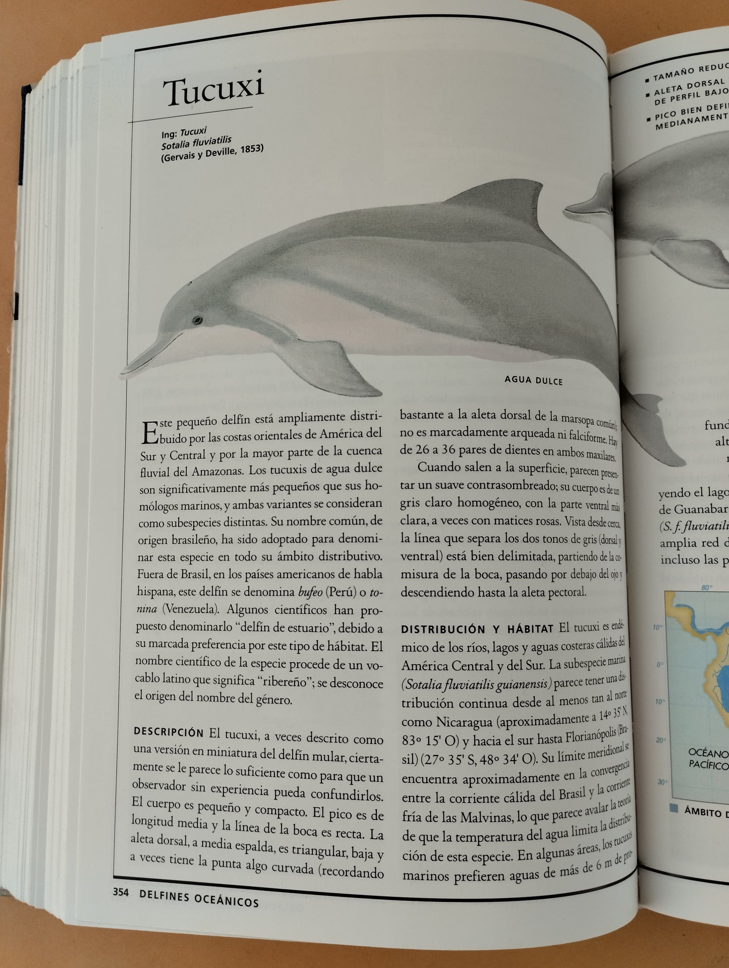 Guía de los mamíferos marinos del mundo