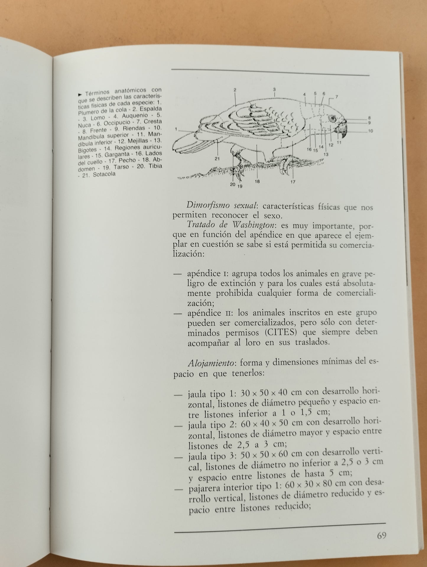 El gran libro ilustrado de los loros