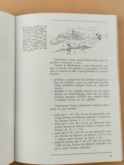 El gran libro ilustrado de los loros