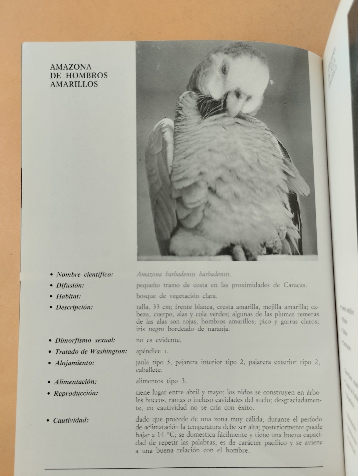 El gran libro ilustrado de los loros