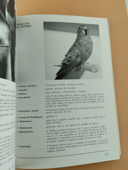 El gran libro ilustrado de los loros