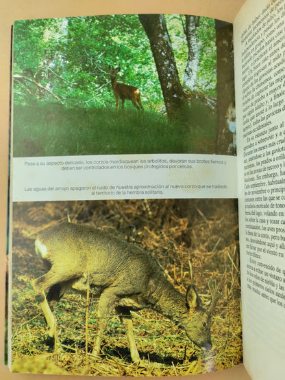 El ultimo lugar salvaje