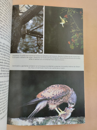 El ultimo lugar salvaje