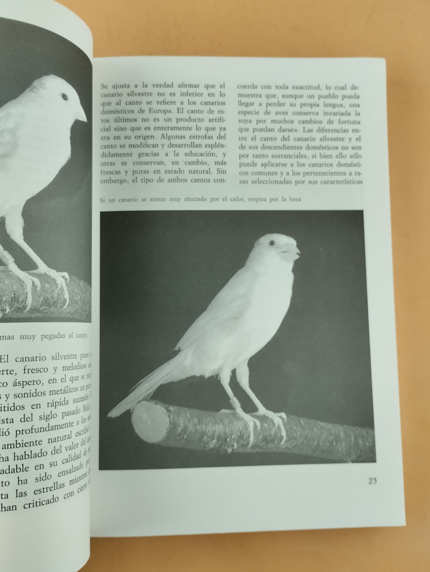 El gran libro de los canarios