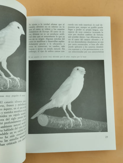 El gran libro de los canarios