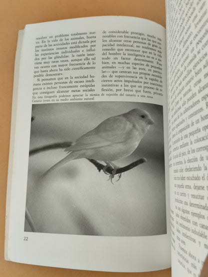 El gran libro de los canarios