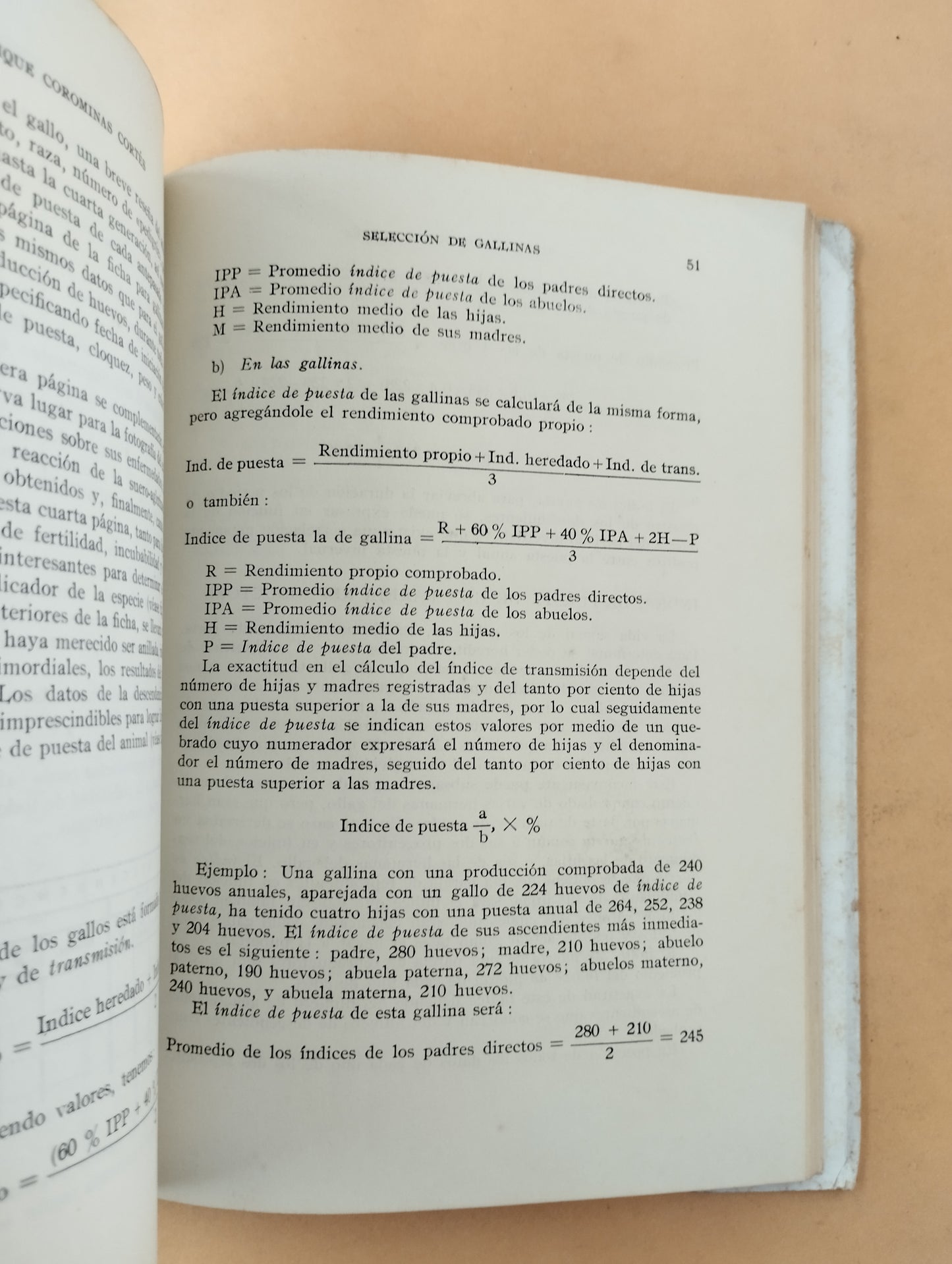 Selección de gallinas