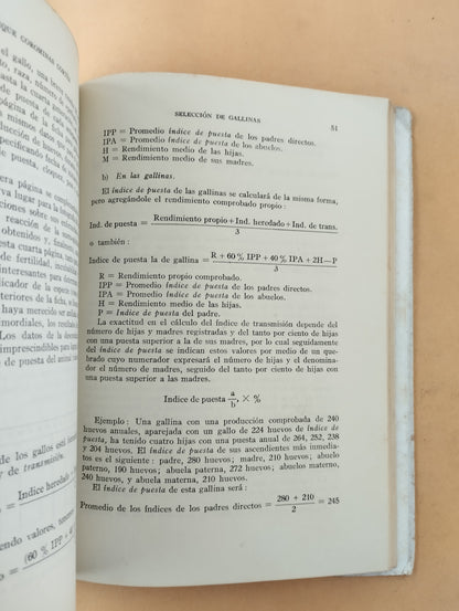 Selección de gallinas