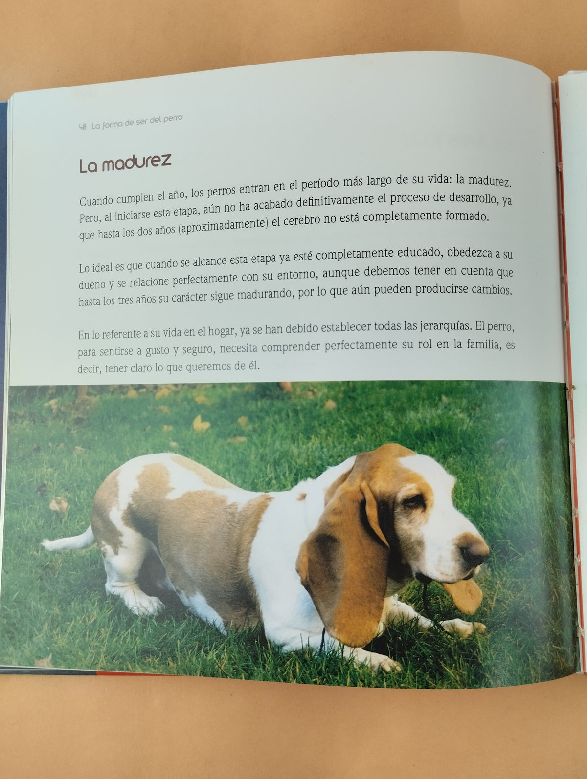 El Encantador de Perros 3: La forma de ser del Perro by Carlos Rodriguez
