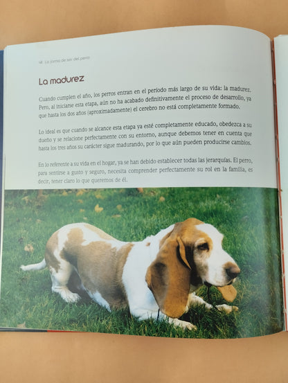 El Encantador de Perros 3: La forma de ser del Perro