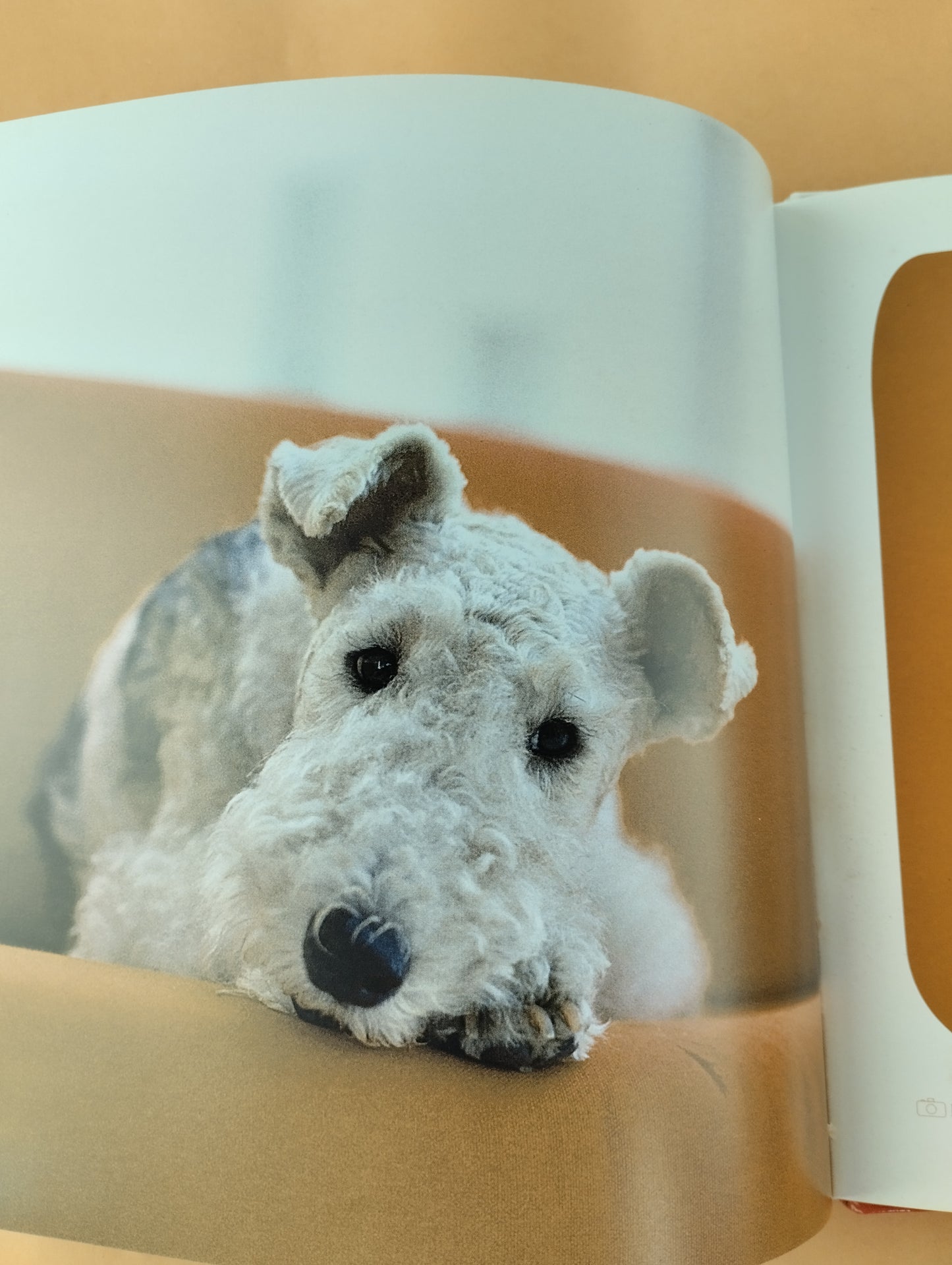 El Encantador de Perros 3: La forma de ser del Perro